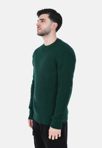 Maglione verde a maglia con texture a coste, caratterizzato da un collo rotondo e maniche lunghe. Il modello si trova di lato contro uno sfondo neutro.