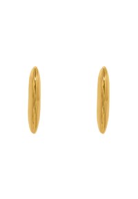 Boucles d'oreilles ovales allongées en ton doré avec une surface lisse et polie. Leur design élancé présente une forme légèrement effilée pour un look élégant.