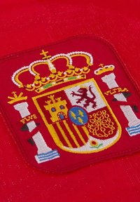 Rode stof met een geborduurde wapenschild met een kroon, kasteel, leeuw en bloemmotieven. Levendige kleuren van goud, blauw en wit.