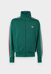 FIREBIRD TT - Sweater met rits - team dark green/bold green/white