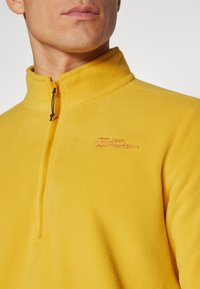 Jack Wolfskin TAUNUS - Fleecepullover - curry