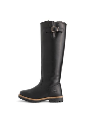 DANNEMARE - Bottes - black
