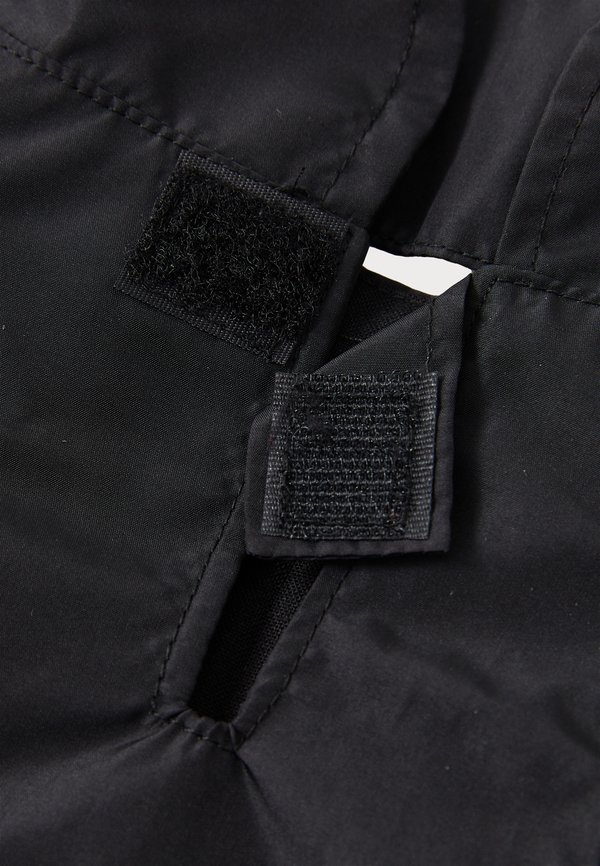 DOG APPAREL ICON - Pet accessory2