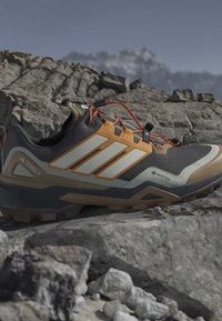 Γκρι και καφέ παπούτσι πεζοπορίας Adidas Terrex με πορτοκαλί κορδόνια σε πετρώδες έδαφος και θολά βουνά στο φόντο.