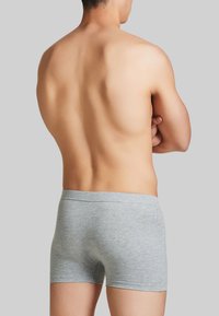 Boxer da uomo grigi in cotone con una vestibilità aderente, dotati di una cintura morbida. Dettagli di cucitura visibili lungo l'orlo. La schiena del modello è rivolta verso l'osservatore.