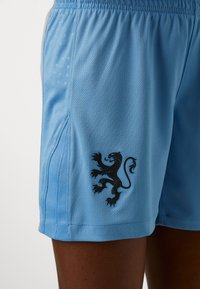 Blå sportshorts i strukturerad meshtyp med en svart lejon-grafik på vänster ben och elastisk midja för komfort.