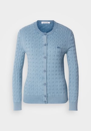 Cardigan lavorato a maglia di un blu chiaro, con motivo a treccia, colletto rotondo, polsini a coste e chiusura anteriore con bottoni abbinati.