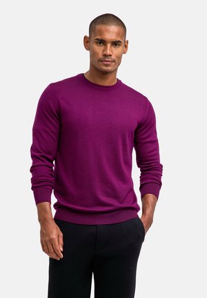 PULLOVER - Trui - vendetta