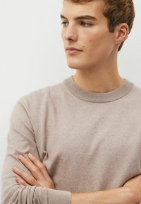 Next CREW NECK - Pulover - camel natural
