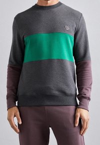 Sudadera gris con una franja horizontal verde, con mangas largas en un tono más oscuro y un pequeño logotipo en el lado izquierdo del pecho.
