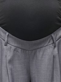 Gray tailored trousers with front pleats, a flat waistband, and belt loops, paired with a fitted black top visible at the waist.