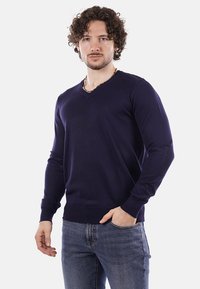 Maglione blu navy a V in tessuto morbido con maniche lunghe e polsini a coste, indossato con jeans blu. Design semplice senza motivi.