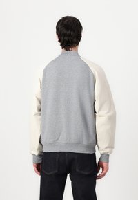 Tommy Hilfiger MIX MEDIA VARSITY UNISEX - Chaquetas bomber - grey