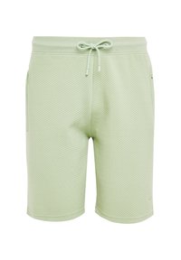 Threadbare THBFERGIE - Shorts - light green