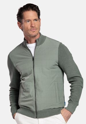 Man met kort bruin haar, gekleed in een lichtgroene jas met een ritssluiting en gebreide mouwen en kraag, staand met handen in de zakken.