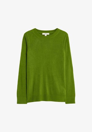 Maglione verde realizzato in morbido tessuto a maglia, con scollatura rotonda, maniche lunghe e polsini e orlo a coste. Design semplice e in tinta unita.