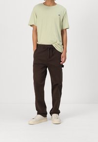 Ljusgrön t-shirt med rund hals och en liten logotyp, i kombination med bruna byxor med dragsko och krämfärgade sneakers. Enkel, avslappnad design.