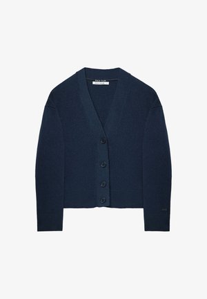 Polo Club Chaqueta de punto - blue