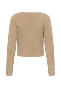 Bež pulover s skrajšanim krojem, izdelan iz mehke, teksturirane tkanine. Ima dolge rokave in okroglo ovratnico ter preprost, brezšiven dizajn.