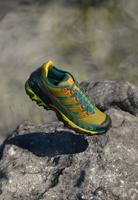 Vald, everglade/savana