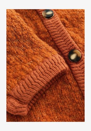 Rust-colored knitted cardigan with a textured body, ribbed cuffs and collar, and two large black buttons along the front.