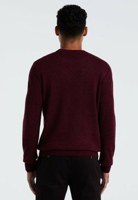 Mann mit kurzen lockigen Haaren, der einen dunkelroten Strickpullover und schwarze Hosen trägt, von hinten vor einem hellen Hintergrund gezeigt.