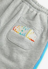 Grijze sweatshorts met een achterzak en kleurrijke geborduurde tekst "FRESH AIR" en een blauwe accentstreep langs de zijkanten.