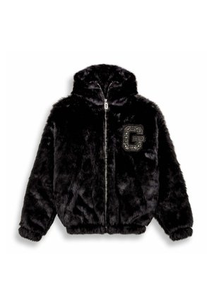 ROYAL PAW - Winterjacke - black