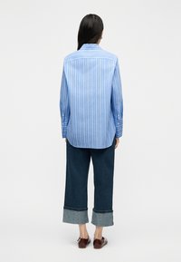 Άτομο που φοράει μπλε και λευκό πουκάμισο με μακριά μανίκια και ρίγες, σκουρόχρωμα τζιν με φαρδύ τελείωμα και καφέ παπούτσια, όρθιο, με την πλάτη προς τα εμπρός.