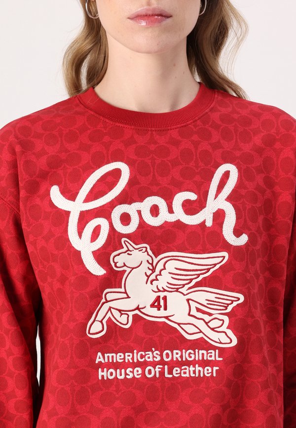 SIGNATURE PEGASUS - Sweatshirt2