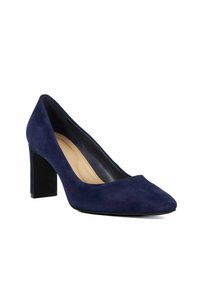 Chaussure à talon haut en suede bleu marine avec un bout pyramidal et un talon bloc robuste. Texture douce et doublure intérieure lisse.