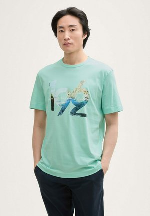 Mint green cotton t-shirt with short sleeves featuring a large graphic print in blue and earthy tones, round neckline, relaxed fit.