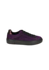 Gabor Sneaker low - purple