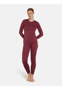 icebreaker 260 TECH HIGH RISE  - Tights - port
