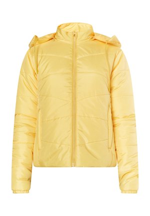 Rumena podložena jakna z zadrgo spredaj, nastavljivo kapuco in elastičnimi manšeti. Gladka, sijoča tekstura z diagonalnimi šivi.