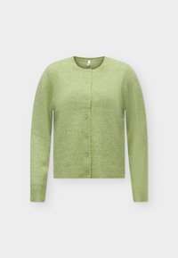 Non sélectionné, sphagnum