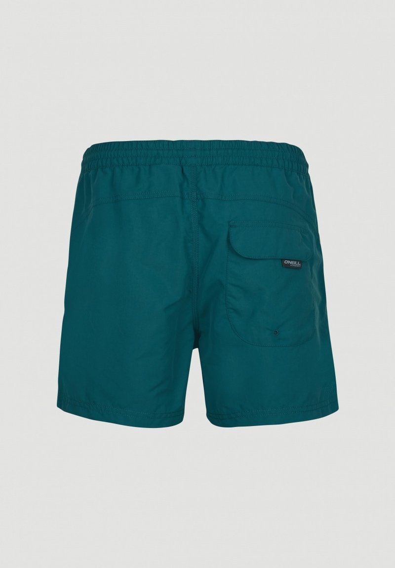 Herren Shirts | O'Neill GOOD DAY Badeshorts blue coral/grün - PJ99340 Herren Shirts | O'Neill GOOD DAY Badeshorts blue coral/grün - PJ99340