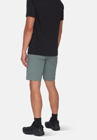Mammut DUCAN - Träningsshorts - strata