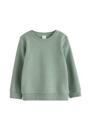 Hellgrünes Sweatshirt aus weichem Material. Verfügt über einen runden Ausschnitt, lange Ärmel und einen gerippten Saum. Einfaches und schnörkelloses Design.