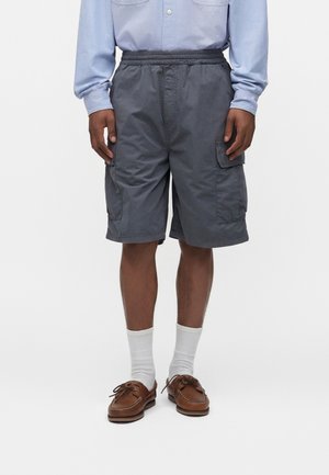 Carhartt WIP, MANDLER DOTHAN - Σορτς - grey