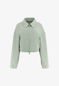 Pasirinkta, hellgrün