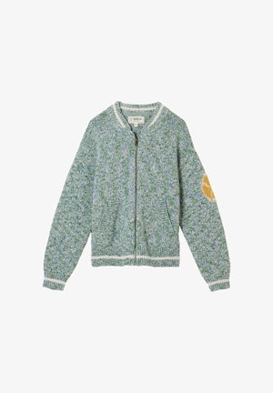 Roheline ja sinine kootud kardigan tõmblukuga, soonikkoes mansettide ja äärega, vasakul küünarnukil kollane ringikujuline plaastriga.