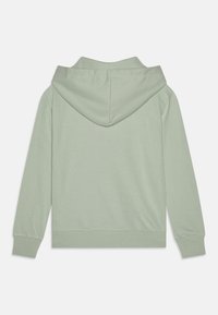Felpa verde chiaro con una morbida texture del tessuto, dotata di un ampio cappuccio, maniche lunghe e una vestibilità comoda. Nessun design o accento visibile nella parte anteriore.