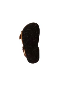 PLAKTON LOUIS - Scarpe primi passi - marron clair