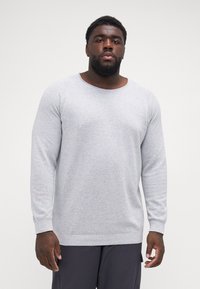 Hellgrauer Pullover aus strukturiertem Material mit rundem Halsausschnitt und langen Ärmeln, ausgestattet mit gerippten Bündchen und Saum für zusätzliche Details.