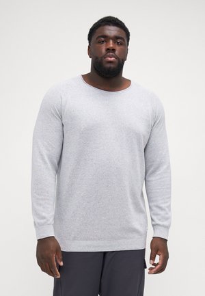JJEHILL CREW NECK  - Strickpullover - light grey melange