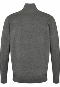 U.S. Polo Assn. BRISON HALF ZIP - Džemperis - medium grey melange