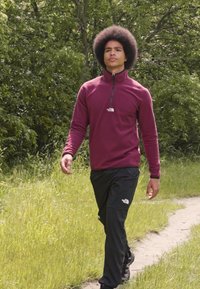 The North Face GLACIER ¼ ZIP - EMBROIDERED LOGO - Flisinis džemperis - alpine plum