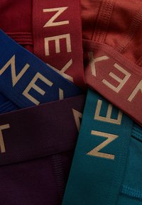 Keturi poros tamprios medžiagos apatinių drabužių raudonos, mėlynos, žalios ir violetinės spalvų, su ryškiais auksinės spalvos logotipo juostos detalėmis.