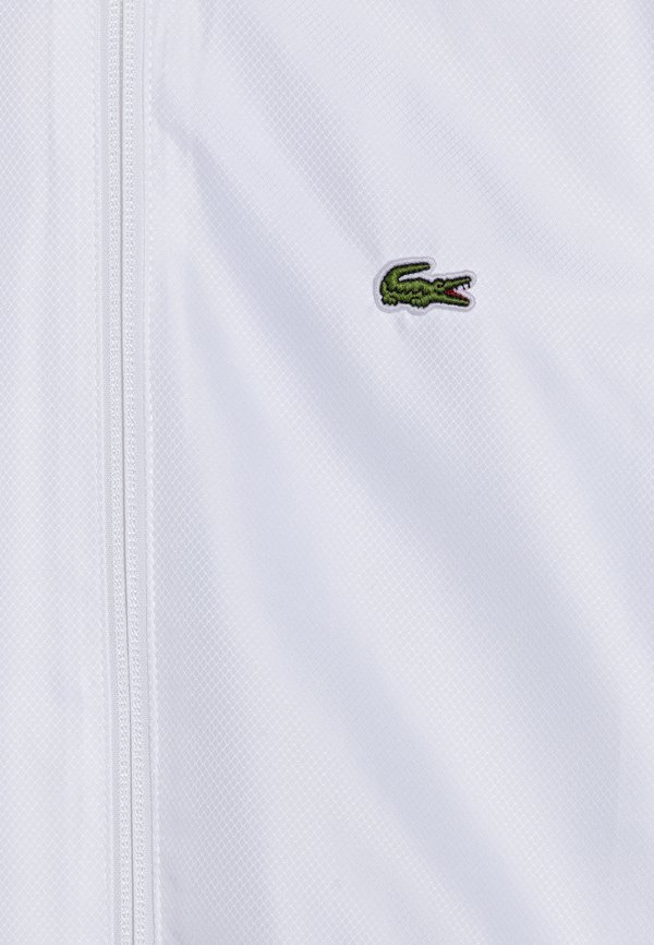 SPORTS JACKET - Training jacket2